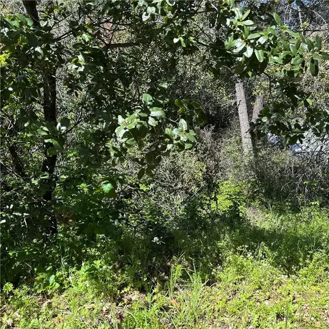 6972 Floyd Way, Nice, CA 95464