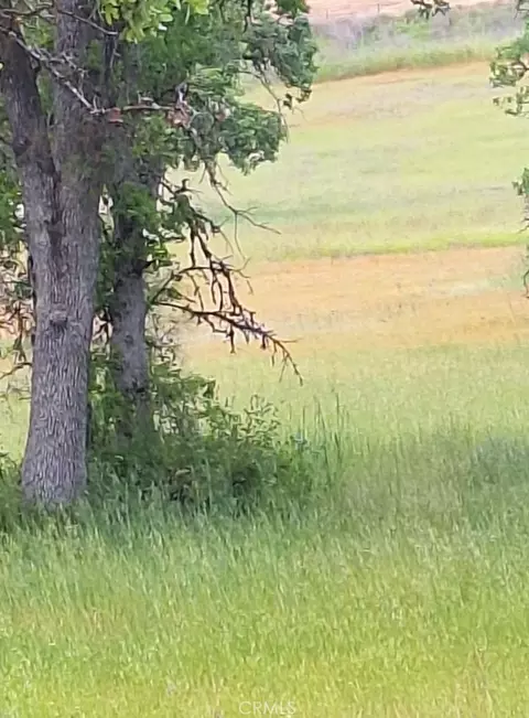 3397 Oleander St, Clearlake, CA 95422