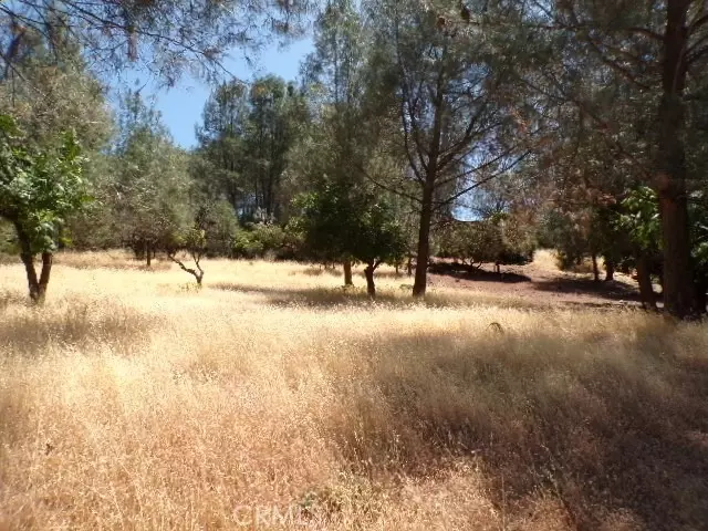 10318 Hok Has Ha Ln, Kelseyville, CA 95453 | MLS# LC25156435 | 2 Photos ...