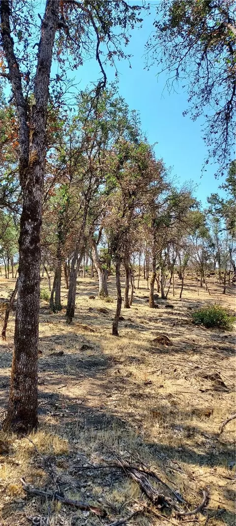 16034 13th Ave, Clearlake, CA 95422 photo 3