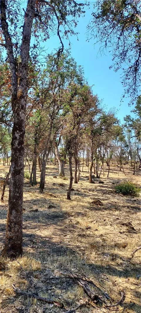 16034 13th Ave, Clearlake, CA 95422 photo 3