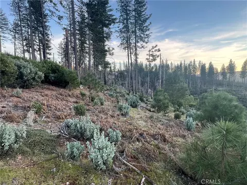 16749 Starview Loop Rd, Cobb, CA 95426 photo 23