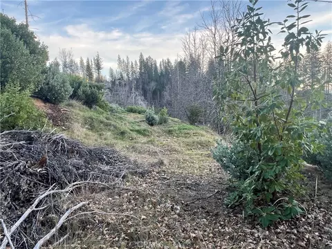 16749 Starview Loop Rd, Cobb, CA 95426 photo 9