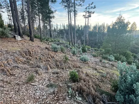 16749 Starview Loop Rd, Cobb, CA 95426 photo 22