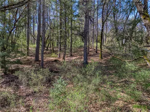 15347 Western Mine, Middletown, CA 95461