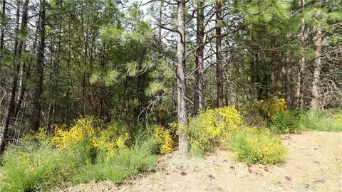 9072 Fox Dr, Cobb, CA 95426