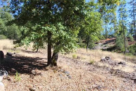 9072 Fox Dr, Cobb, CA 95426 photo 5
