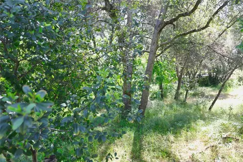 3312 9th, Clearlake, CA 95422 photo 7