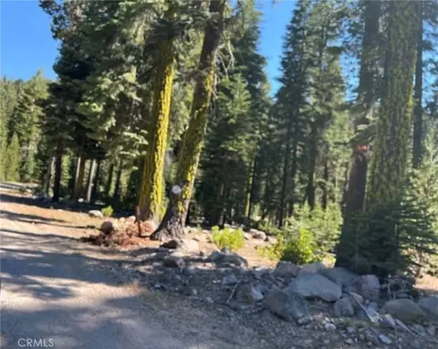 0 Logging Rd, Viola, CA 96088
