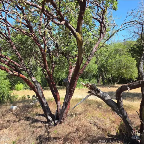 3367 3rd St, Clearlake, CA 95422
