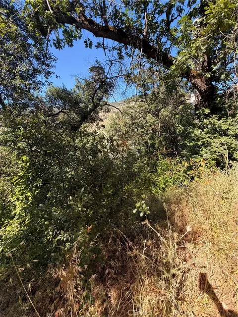 3403 Knob, Nice, CA 95464 photo 3