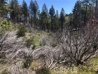 7097 High Vly, Lucerne, CA 95458 photo 4