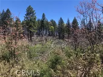 6847 High Vly, Lucerne, CA 95458 photo 3