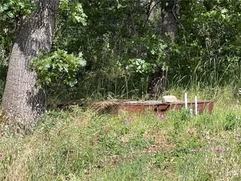 0 Manton School Rd, Manton, CA 96059 photo 3