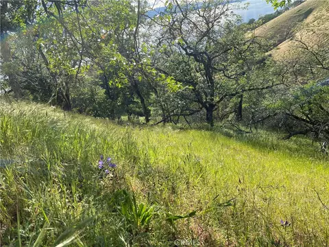 7524 Bruner Dr, Glenhaven, CA 95443 photo 8