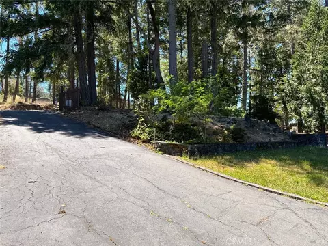 Exterior - 16990 Old Boy Scout, Willits, CA 95490 photo 14 of 22