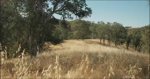 17012 Dam, Clearlake, CA 95422 photo 17