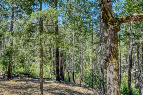 16121 Golf, Cobb, CA 95426 photo 21
