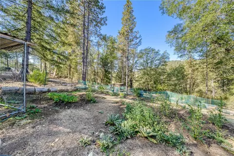 8255 High Valley Rd, Cobb, CA 95426 photo 28