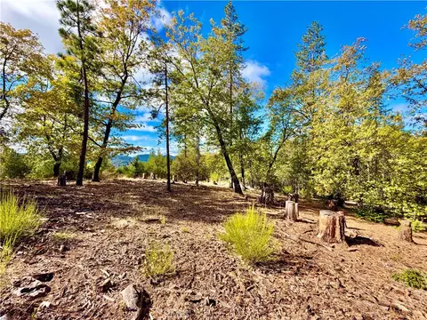 9093 Fox Dr, Cobb, CA 95426 photo 7