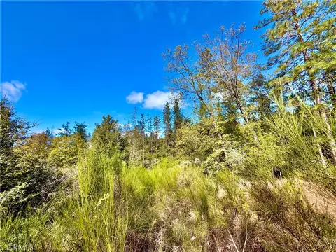 9093 Fox Dr, Cobb, CA 95426 photo 14