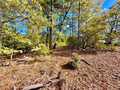 9093 Fox Dr, Cobb, CA 95426 photo 11