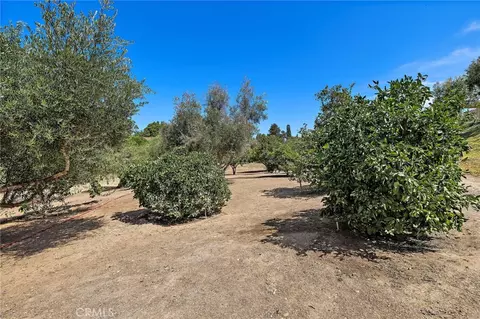 Exterior - 647 Tumble Creek Ln, Fallbrook, CA 92028 photo 15 of 19