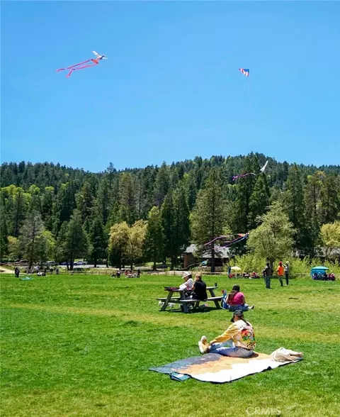 Other - 855 Bergschrund Dr, Crestline, CA 92325 photo 18 of 18