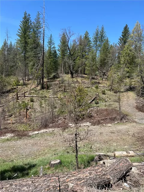 6493 Greeley Hill Rd, Coulterville, CA 95311