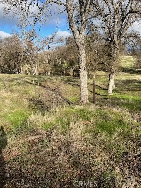 0 Bobcat Ct, Catheys Valley, CA 95306 photo 5