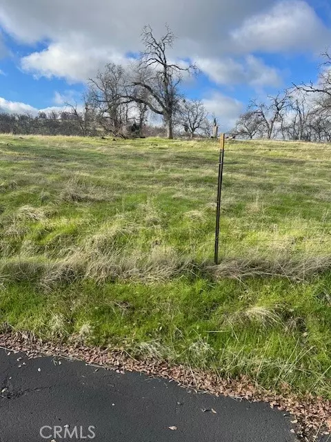 0 Bobcat Ct, Catheys Valley, CA 95306 photo 7