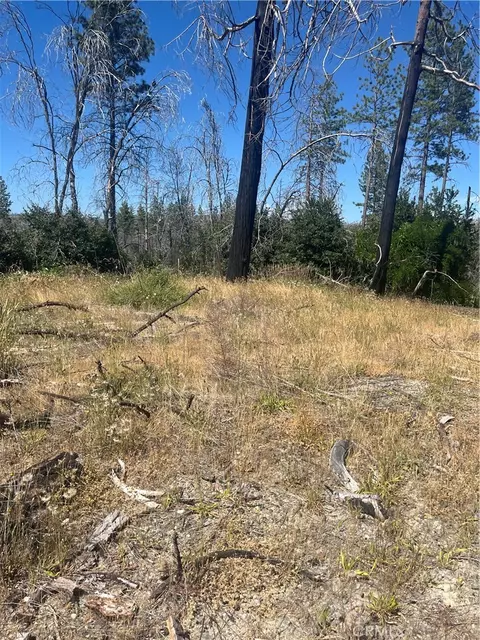 122 Simpson Ranch Rd, Berry Creek, CA 95916