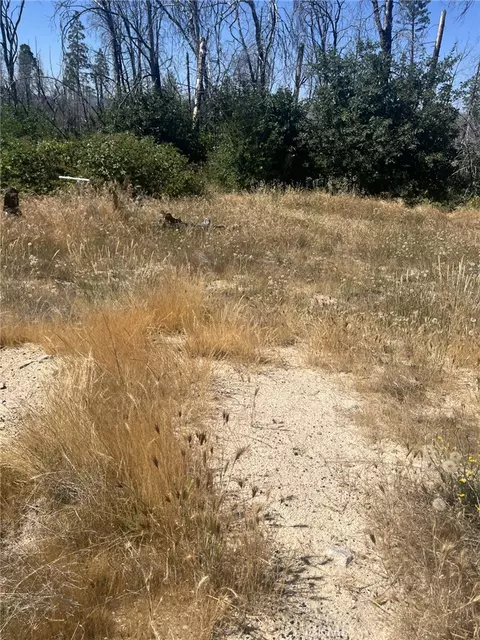 130 Simpson Ranch Rd, Berry Creek, CA 95916