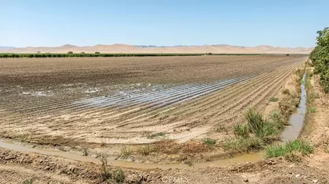 0 Schmidt Rd, Gustine, CA 95322 photo 9