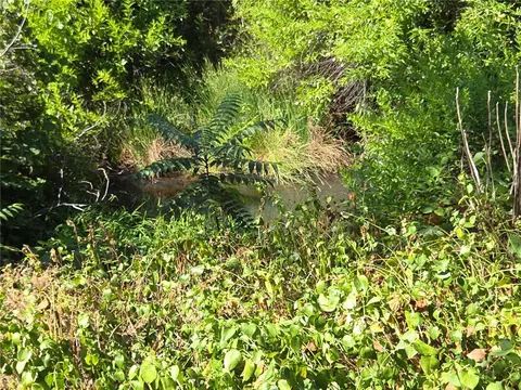 12149 W Highway 99, Red Bluff, CA 96080 photo 8