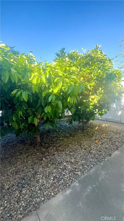 1218 Cleveland Ave #152, Madera, CA 93638 photo 17