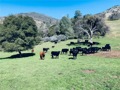 1532 Cya Rd, Mariposa, CA 95338
