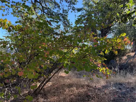 6005 Sherlock, Midpines, CA 95338 photo 31