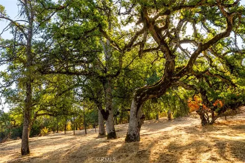 6005 Sherlock, Midpines, CA 95338 photo 9