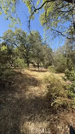 163 Oak Rd, Midpines, CA 95338 photo 11