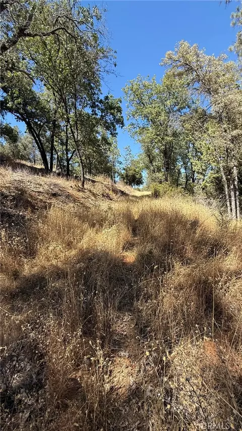 163 Oak Rd, Midpines, CA 95338 photo 7