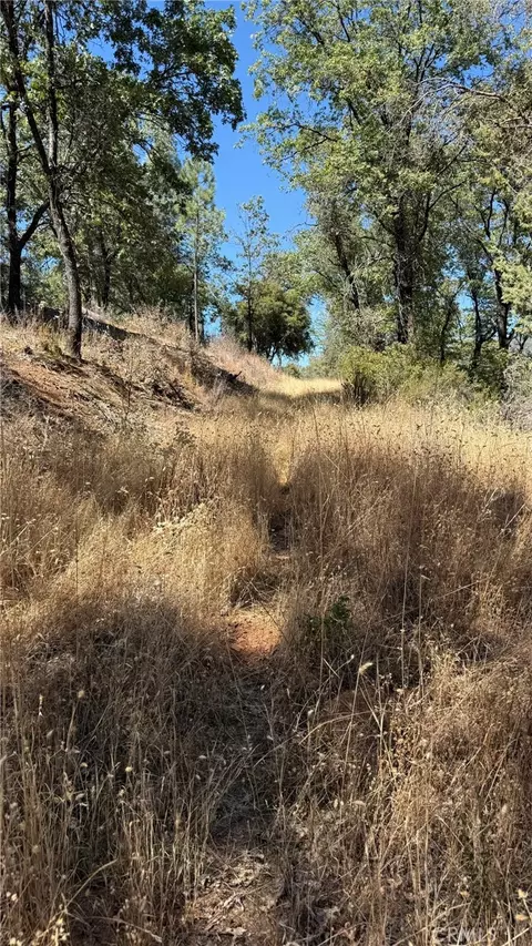 163 Oak Rd, Midpines, CA 95338 photo 6