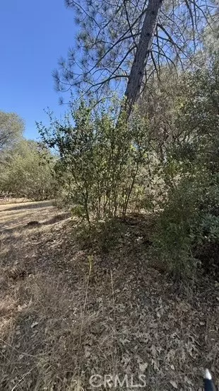 163 Oak Rd, Midpines, CA 95338 photo 9