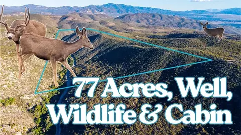 28618 Chihuahua Valley Rd, Warner Springs, CA 92086