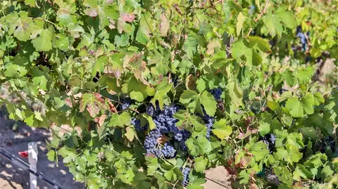 Other - 40970 Anza Rd, Temecula, CA 92592 photo 3 of 13