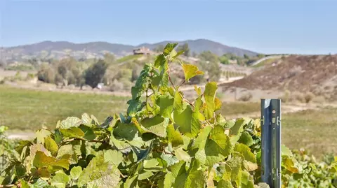 Other - 40970 Anza Rd, Temecula, CA 92592 photo 5 of 13