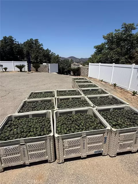 Other - 2125 Puerto Del Mundo, Fallbrook, CA 92028 photo 30 of 34