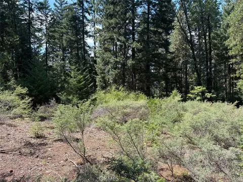 9936 Fobes, Unincorporated, CA 92256 photo 2