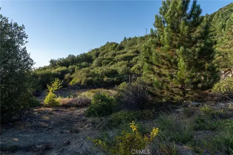 36105 N Peak, Julian, CA 92036 photo 32