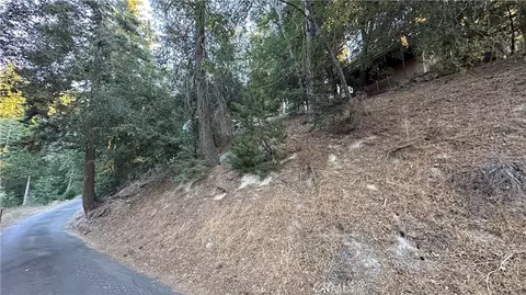 0 Mid Ln, Twin Peaks, CA 92391 photo 4